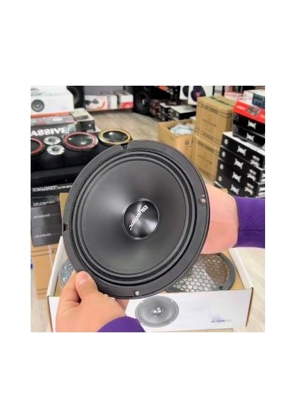 Bluerex Hoparlör 1 Takım 2 Adet BR-800NPRO