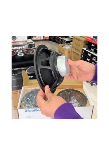 Bluerex Hoparlör 1 Takım 2 Adet BR-800NPRO fiyatları