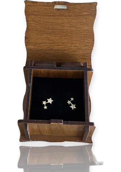 Yıldızlı Altın Küpe modelleri