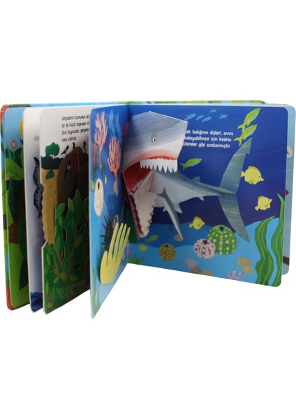 Aç Bak Şaşır! - Bebeğimle Hayvanlar Âleminde Sivri, Sivri, Çok Sivri (Büyük Boy 3 Boyutlu Kitap) fırsatları