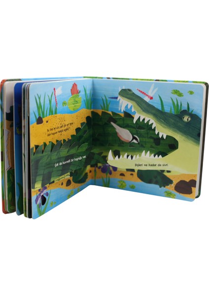 Aç Bak Şaşır! - Bebeğimle Hayvanlar Âleminde Sivri, Sivri, Çok Sivri (Büyük Boy 3 Boyutlu Kitap) indirimleri