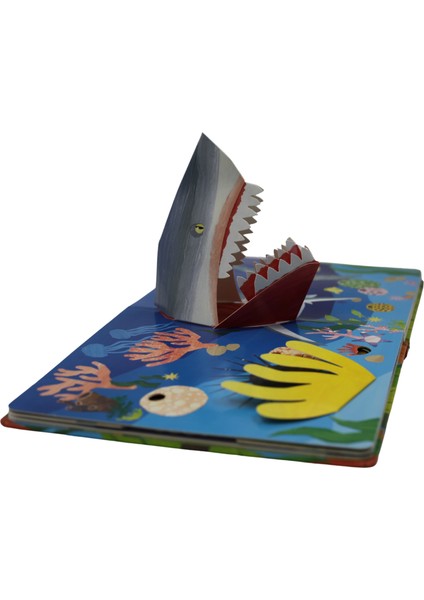 Aç Bak Şaşır! - Bebeğimle Hayvanlar Âleminde Sivri, Sivri, Çok Sivri (Büyük Boy 3 Boyutlu Kitap)