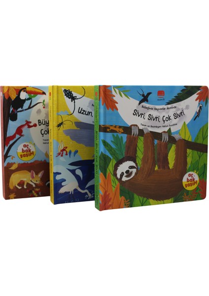 Aç Bak Şaşır! - Bebeğimle Hayvanlar Âleminde Sivri, Sivri, Çok Sivri (Büyük Boy 3 Boyutlu Kitap)