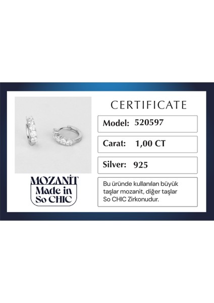 Aurora Mozanit 18 Ayar Beyaz Altın Kaplama Gümüş Halka Küpe indirimleri