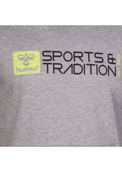 Flume Erkek Gri Baskılı Kapüşonlu Sweatshirt fırsatları