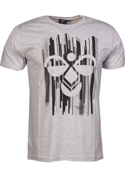 Raiden Erkek Gri Baskılı Bisiklet Yaka Tişört fiyatları