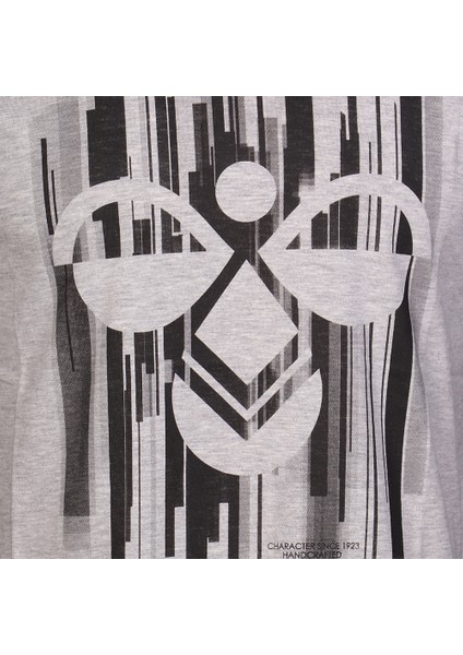 Raiden Erkek Gri Baskılı Bisiklet Yaka Tişört fırsatları