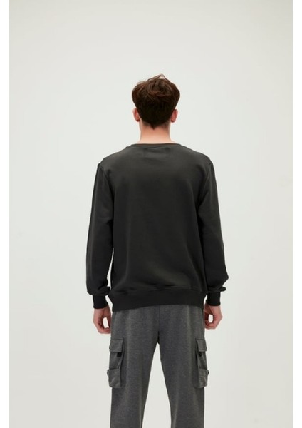 Bad Bear Crewneck Erkek Siyah Sweatshirt 20.02.12.011-C02 indirimleri