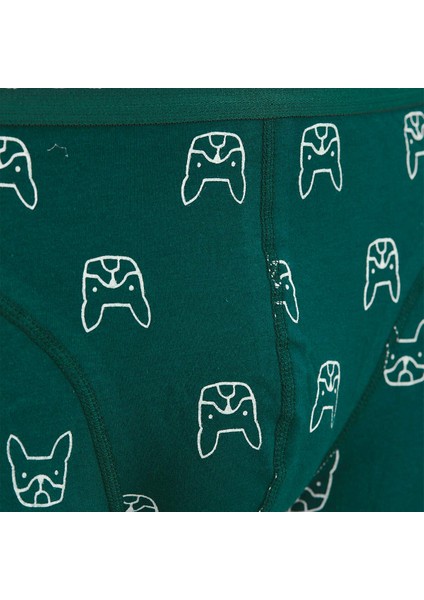 JACDENIM DOG TRUNKS 3 PAC Yeşil Erkek Boxer