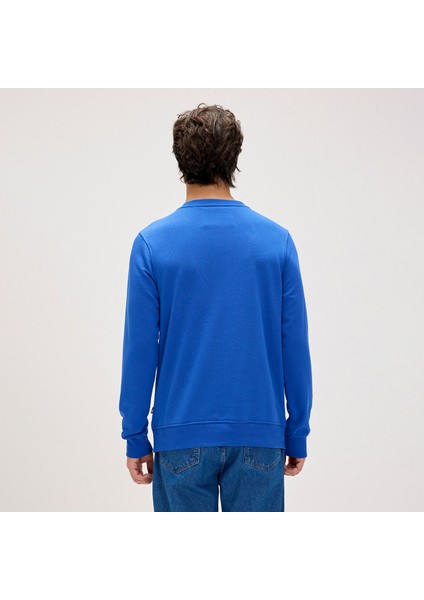 Splashy Crewneck Erkek Sweatshirt