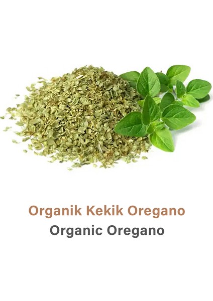 Kekik Oregano