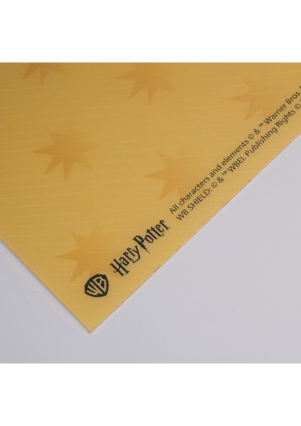 Harry Potter - Hufflepuff Lisanslı Amerikan Servis modelleri