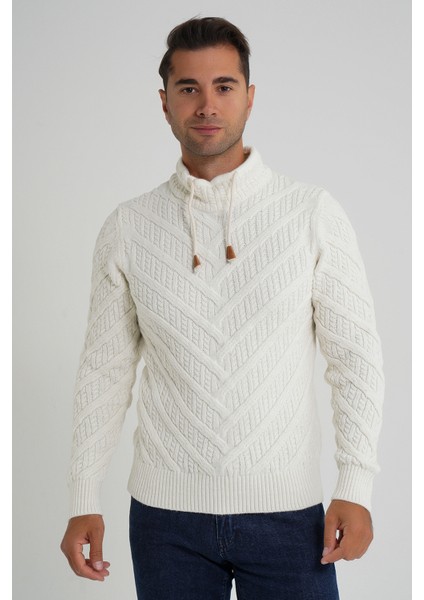 Erkek Ağaç Desenli Boru Yaka Yün Kazak TRIST-5349