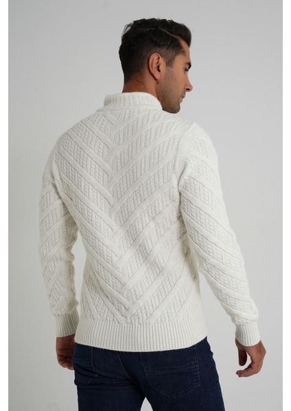 Erkek Ağaç Desenli Boru Yaka Yün Kazak TRIST-5349 modelleri