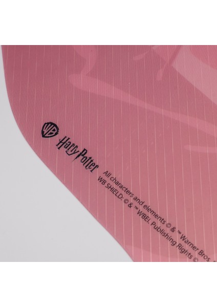 Harry Potter - Happe Birtdae Harry Lisanslı Amerikan Servis modelleri