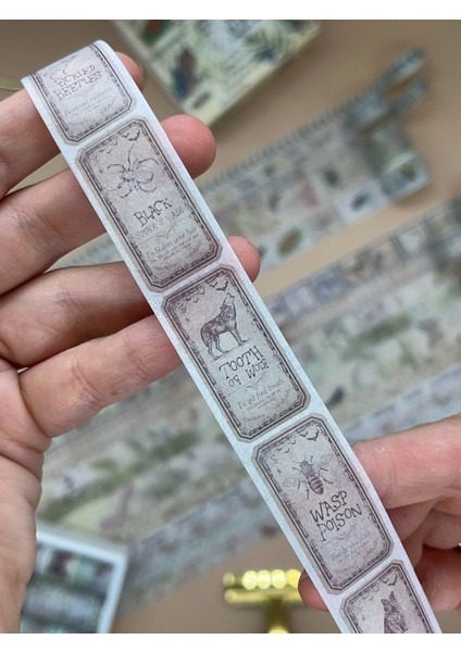 Vintage Çiçek ve Kelebek Temalı 20’li Washi Bant The Traces In The Jungle Fleeting Monologue Serisi (20*2m) Masking Tape / Desenli Bant indirimleri