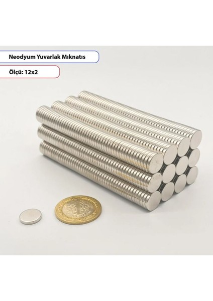 Yuvarlak Neodyum Mıknatıs 12X2MM -10 Lu