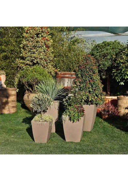 Quadro Veneto 40 Plastik Saksı Kapuçino fiyatları