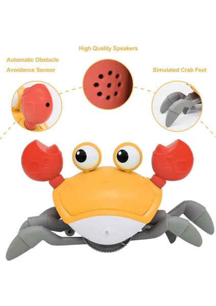 Emeklemeye ve Yürümeye Yardımcı Çarpma Sensörlü Sağa ve Sola Hareket Eden Oyuncak Pilli Yengeç fiyatları