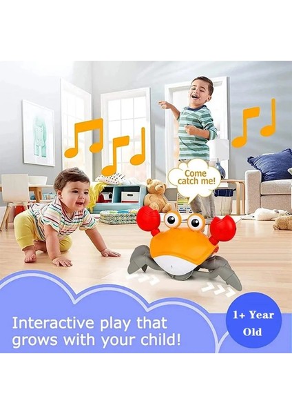 Emeklemeye ve Yürümeye Yardımcı Çarpma Sensörlü Sağa ve Sola Hareket Eden Oyuncak Pilli Yengeç