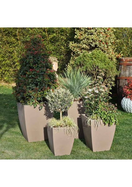 Quadro Veneto 35 Plastik Saksı Kapuçino fiyatları