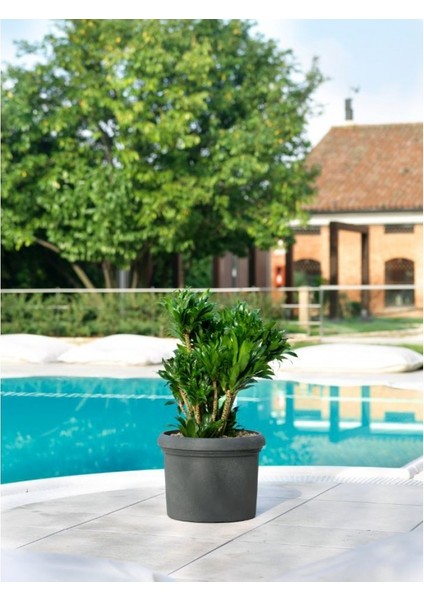 Cilindro Vicenza 45 Plastik Saksı Duman Grisi fiyatları