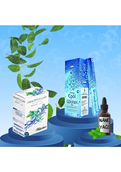 Ferah Ortam Seti Cool Water Tütsü 20 Çubuk + Okaliptüs Küp Çay + Nane Yağı 20 ml