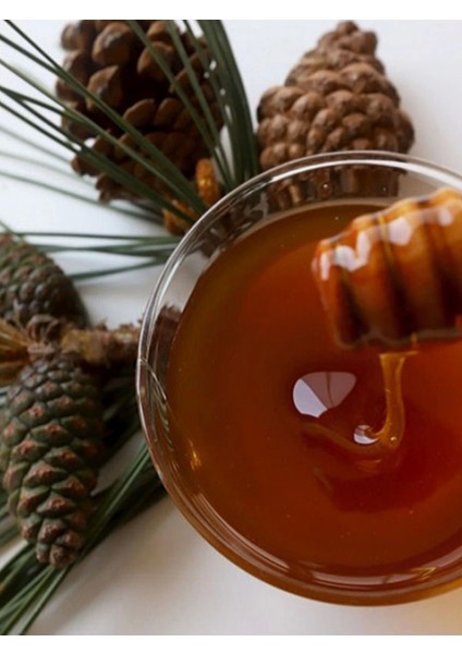 Çam Balı 1 kg Marmaris Bölgesi