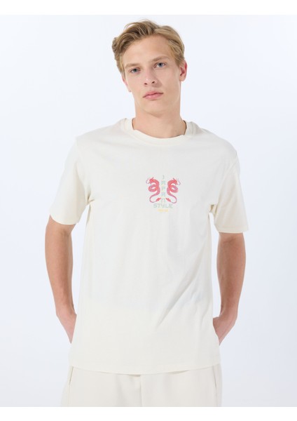 Bisiklet Yaka Beyaz Erkek T-Shirt 12288568_JORDRAGON Tee Ss Crew Neck modelleri