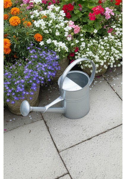 Olivia 3,5 Litre Metal Çiçek Bahçe Sulama Kabı Renksiz - Modern Dekoratif Çok Amaçlı Sulak indirimleri
