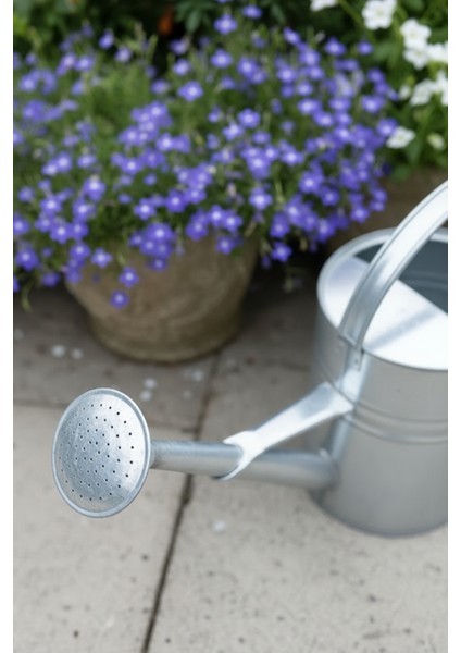 Olivia 3,5 Litre Metal Çiçek Bahçe Sulama Kabı Renksiz - Modern Dekoratif Çok Amaçlı Sulak