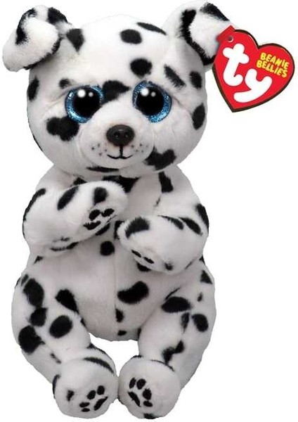 Rowdy - Dalmatian Belly Reg 150079TY41502