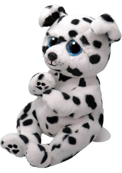 Rowdy - Dalmatian Belly Reg 150079TY41502 fiyatları