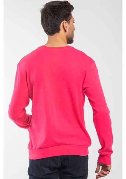 Süperlife Bisiklet Yaka Uzun Kollu Dar Kalıp Ince Erkek Sweatshirt SPR2019K18 indirimleri