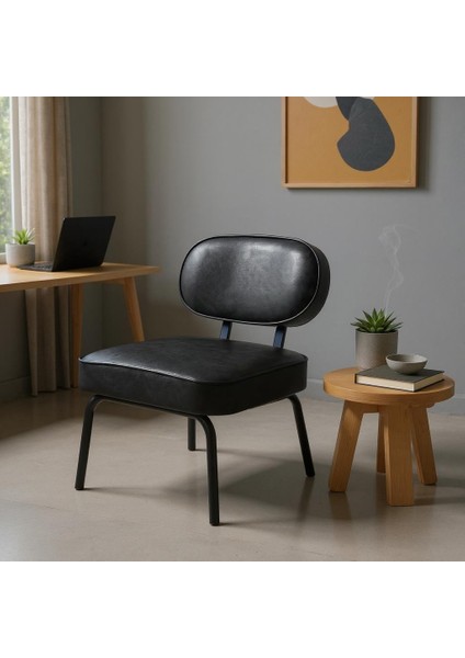 - Luna Model Modern Tekli Koltuk Berjer Sandalye - Deri Kumaş - Siyah fiyatları