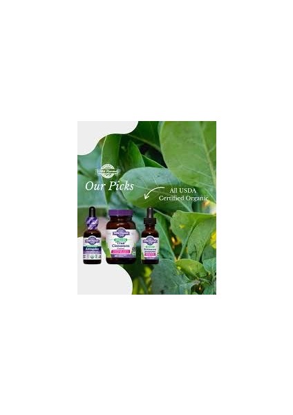 Organic "true" Cinnamon (Ceylon) Extract, 1 Fl Oz (30 Ml)