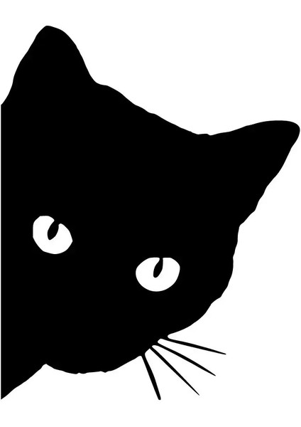 Kedi Sticker 10 x 13 cm