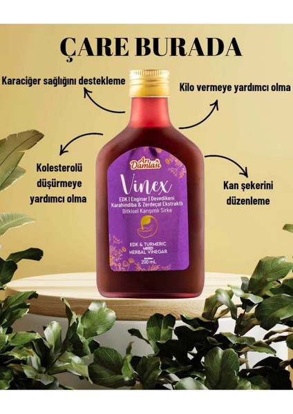 Edk ve Enginar Extraklı Sirke