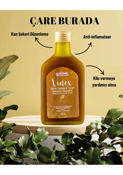Zeytin Yaprağı + Tarçın + Hibüsküs Ekstraklı Sirke