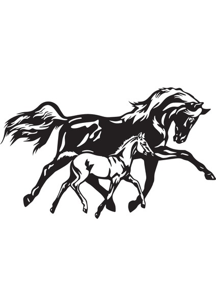 At ve Yavrusu Model 1 Oto Özel Yeni Sticker 25 x 15 cm