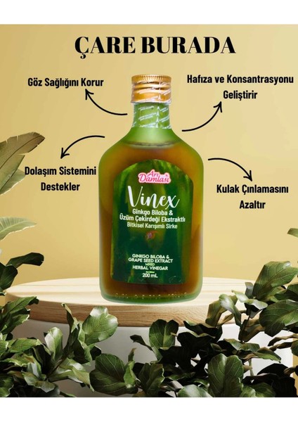 Ginkgo Bloba & Üzüm Çekirdeği Ekstraklı Sirke