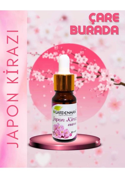 Japon Kirazı Kokusu 10 ml