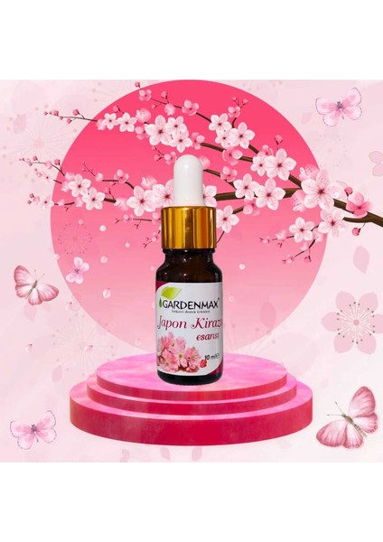 Japon Kirazı Esansı