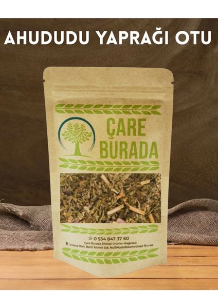 Ahududu Yaprağı 50GR