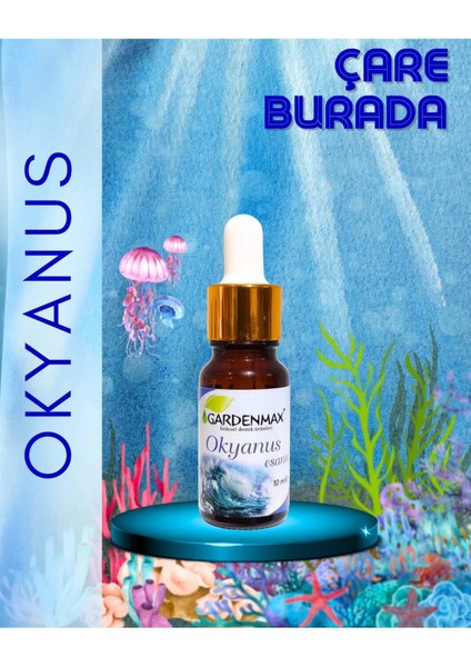Okyanus Kokusu 10 ml