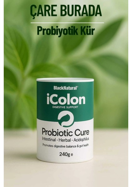 Probiyotik Kür 240 gr