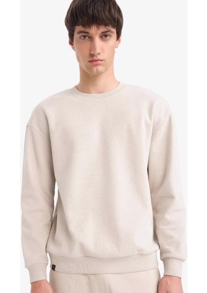 Boxy Fit Bisiklet Yaka Basic Düz Pike Taş Erkek Sweatshirt E1519AX/BG766