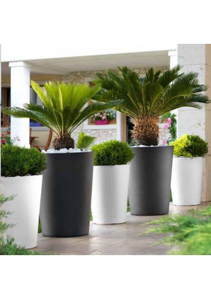 Zamora 65 Plastik Saksı Antrasit modelleri