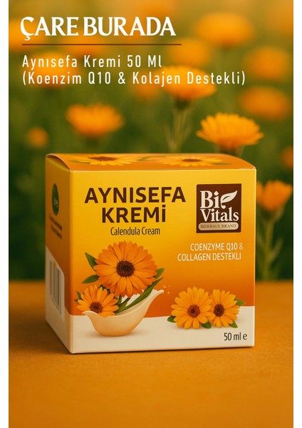 Biovitals - Aynısefa Kremi 50 ml (Koenzim Q10 & Kolajen Destekli)