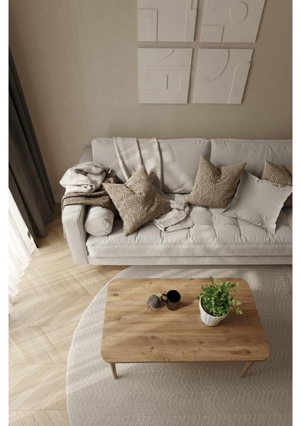 Orta Sehpa Dikdörtgen Sehpa Salon Sehpa Ahsap Ayak Sehpa Salon Masa 90X50